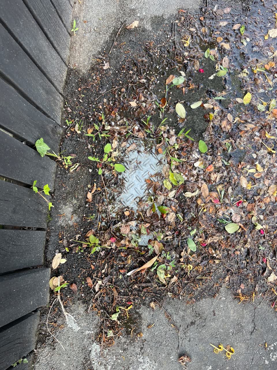 The photograph attached to this flooding report