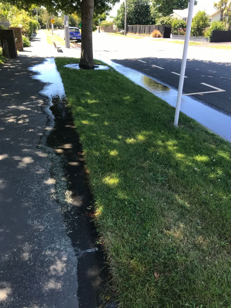 The photograph attached to this water leak report