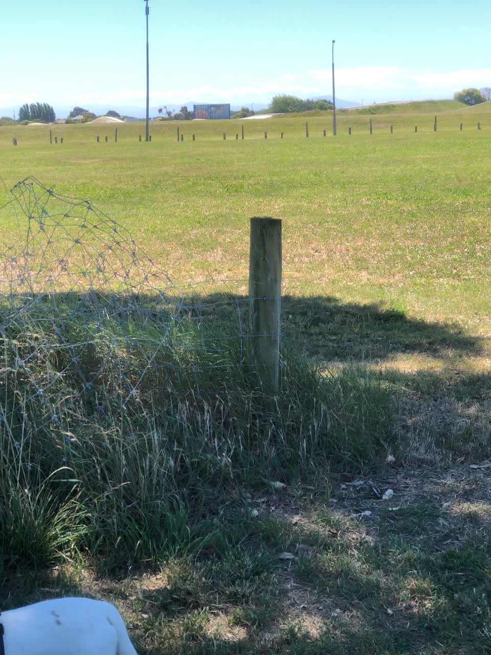 The photograph attached to this parks report