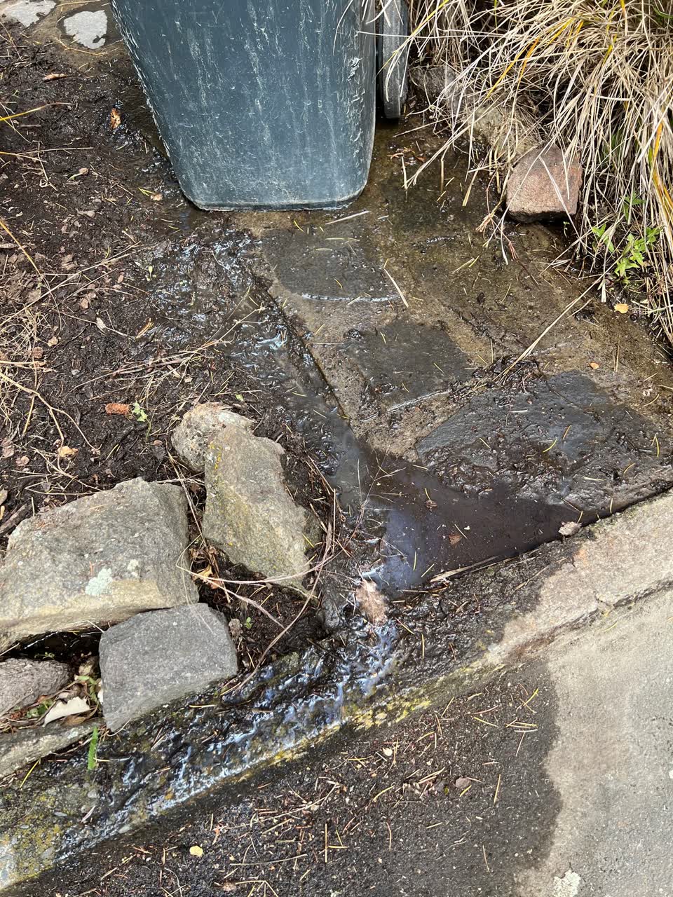 The photograph attached to this water leak report