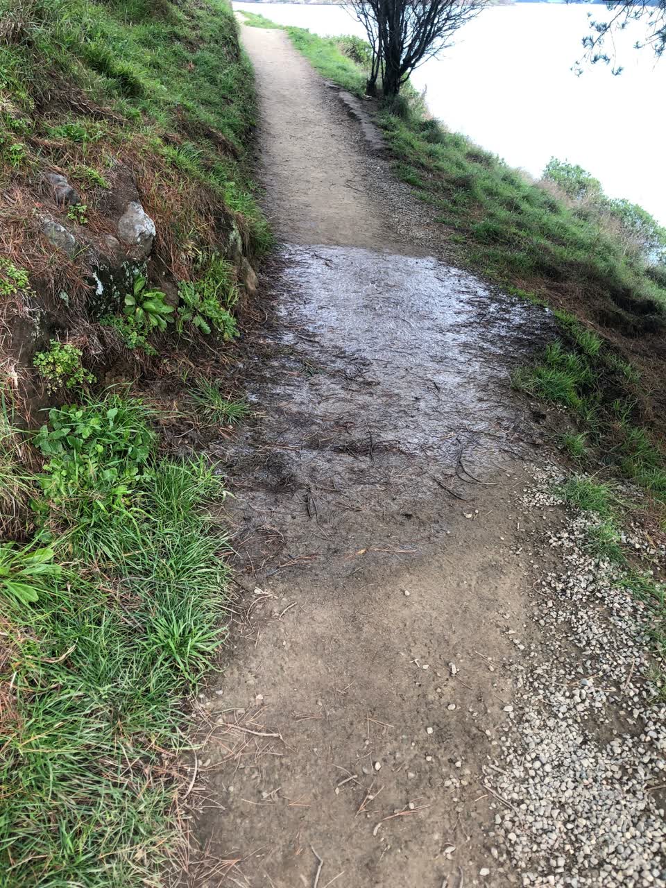 The photograph attached to this water leak report