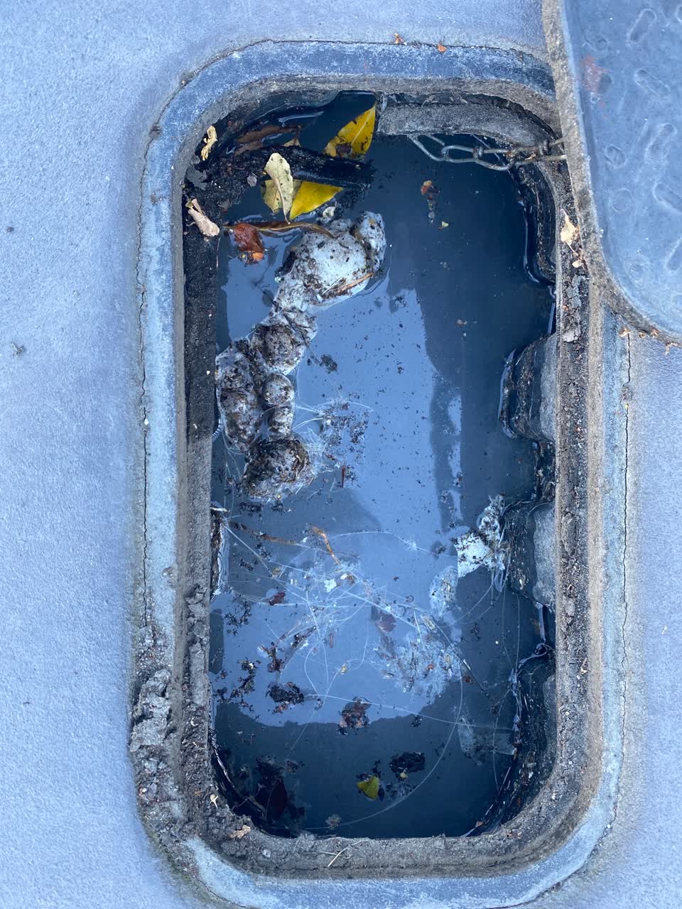The photograph attached to this water leak report