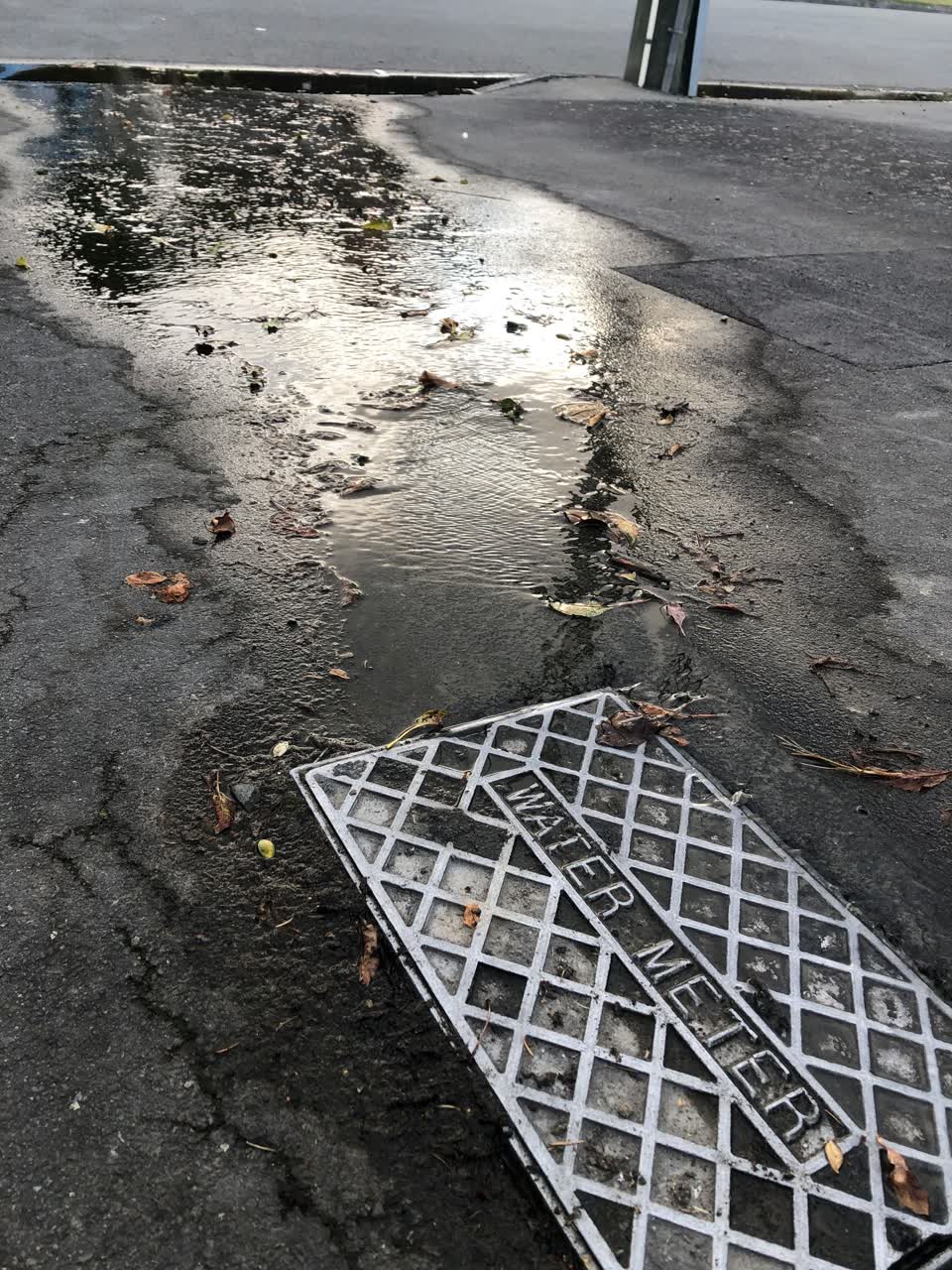 The photograph attached to this water leak report