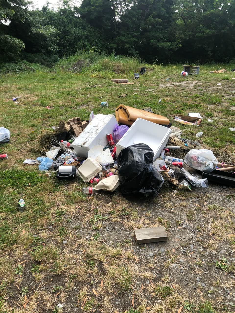 The photograph attached to this rubbish/recycling report