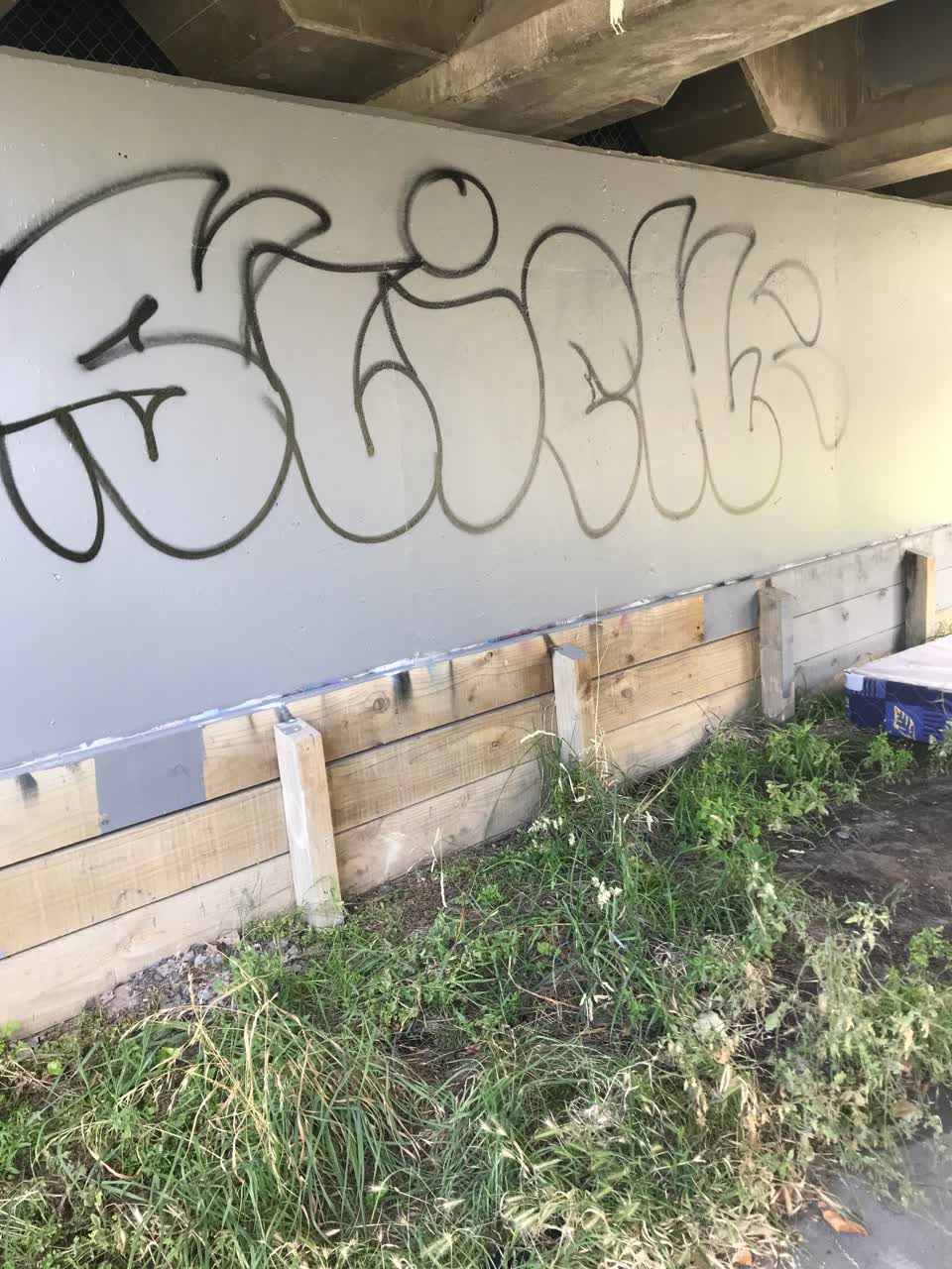 The photograph attached to this graffiti report