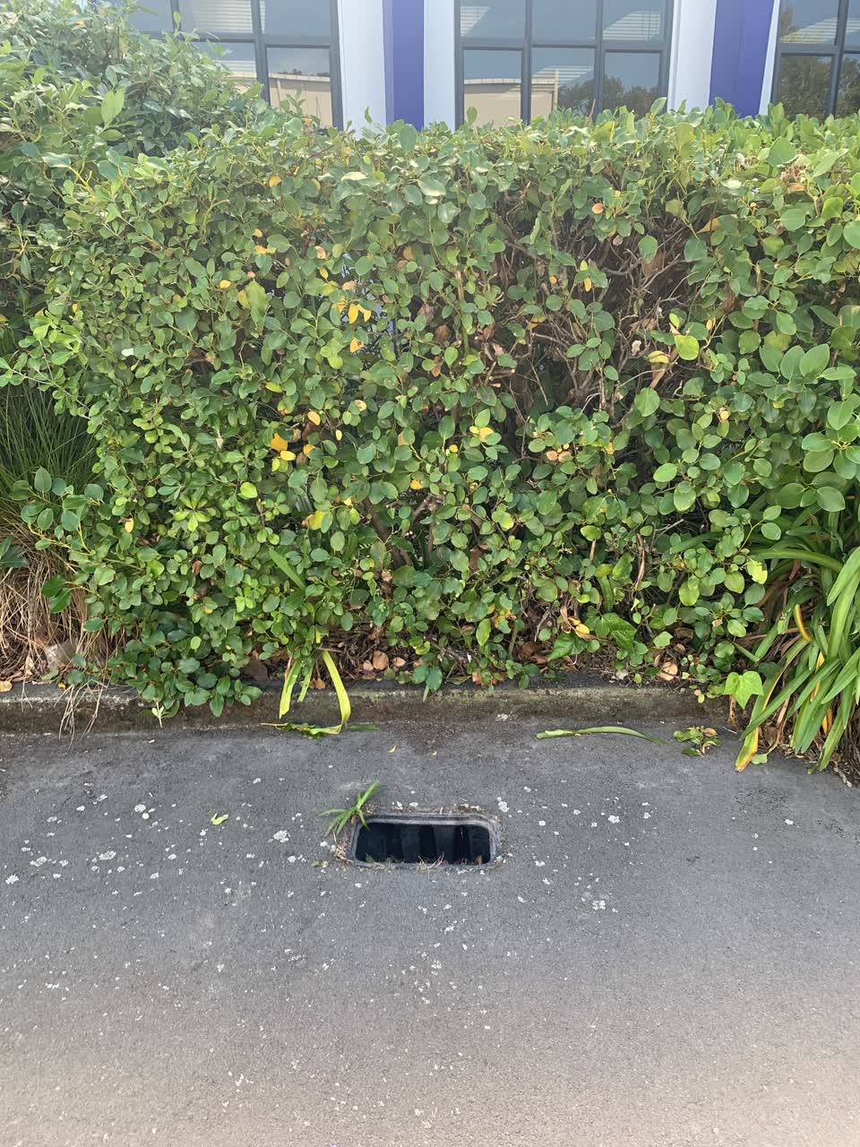 The photograph attached to this water supply report