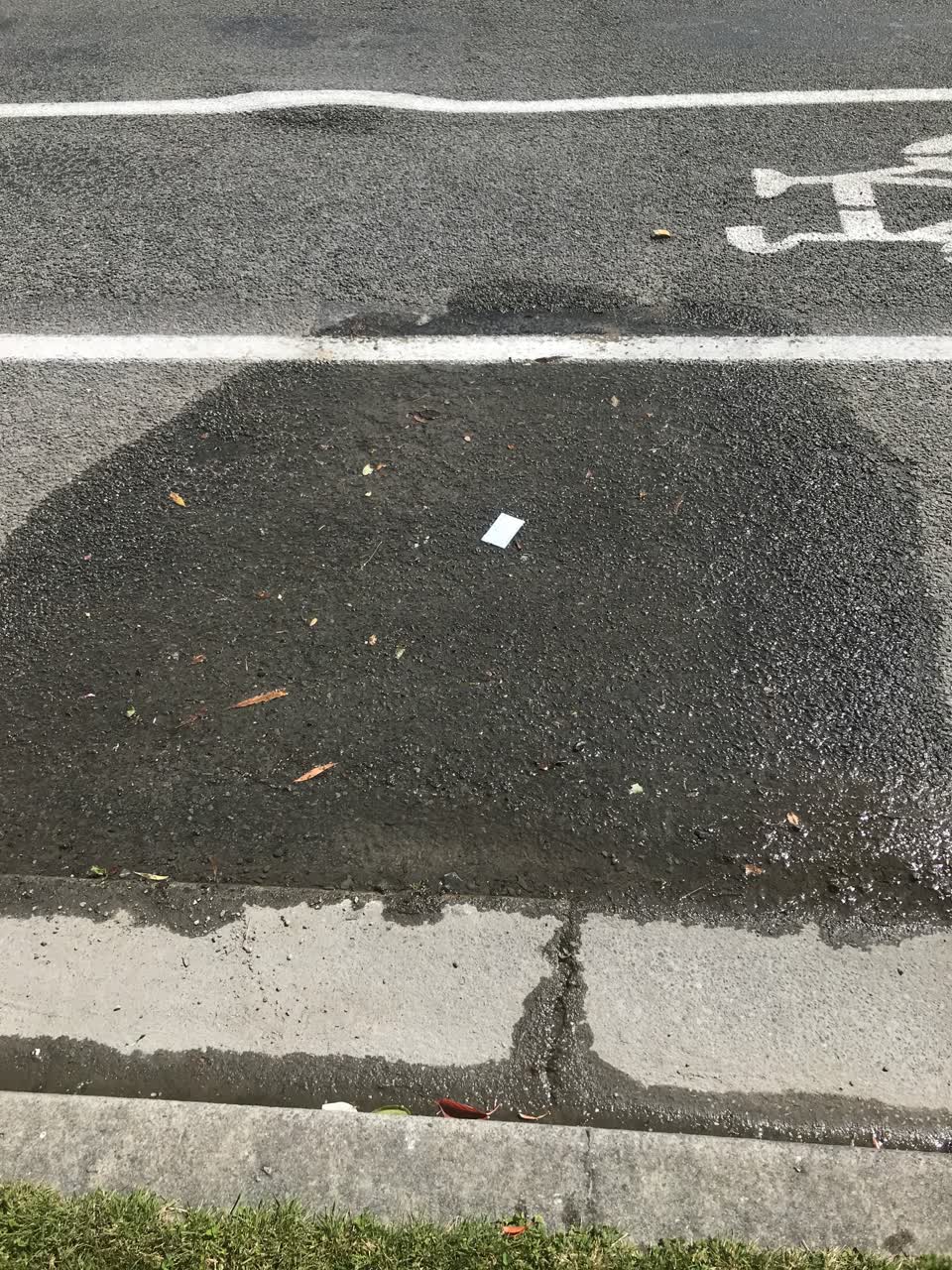 The photograph attached to this water leak report