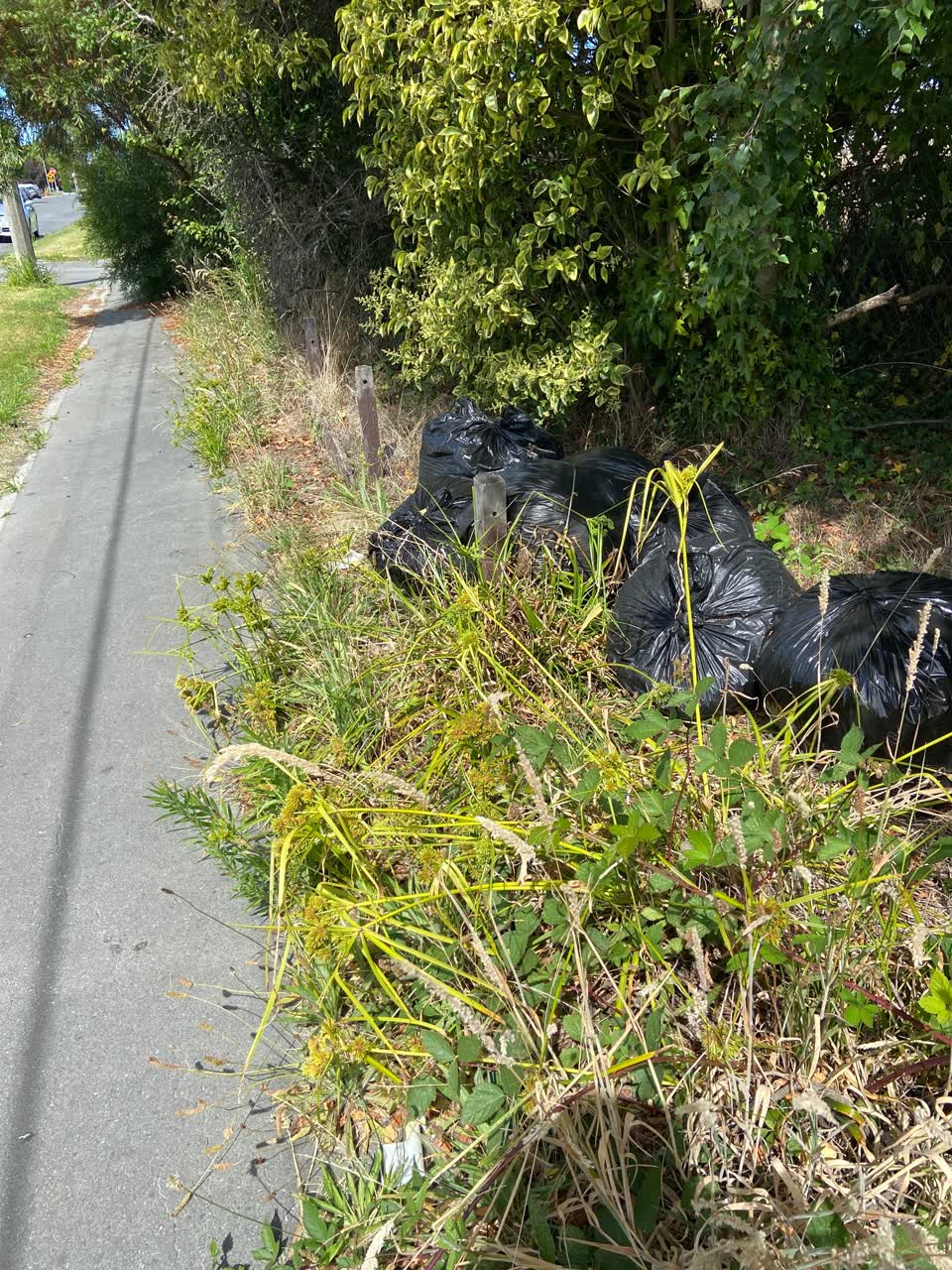 The photograph attached to this rubbish/recycling report