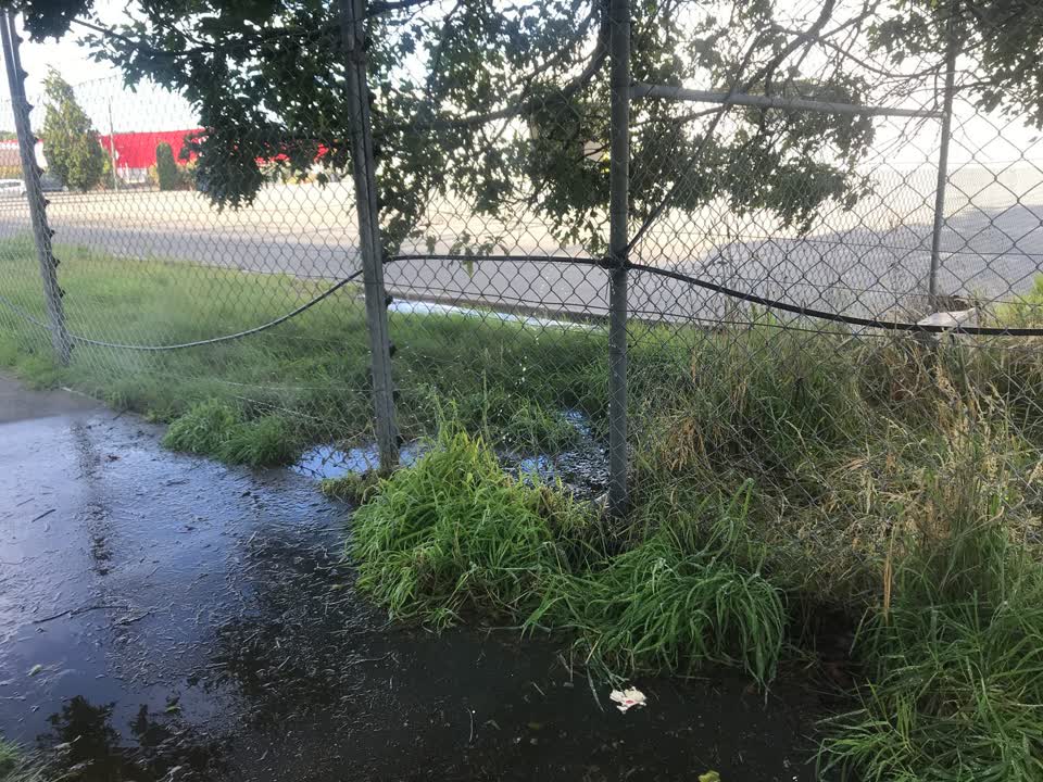 The photograph attached to this water leak report