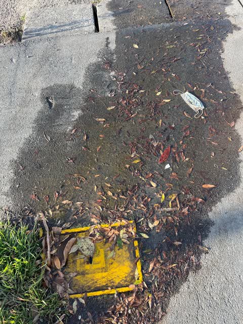 Water Leak, a report photo