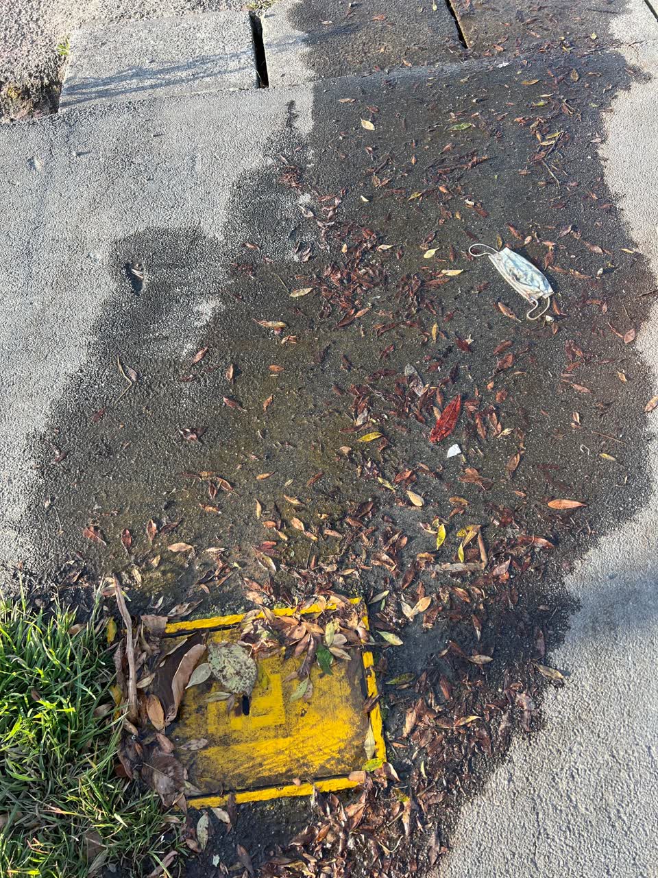 The photograph attached to this water leak report