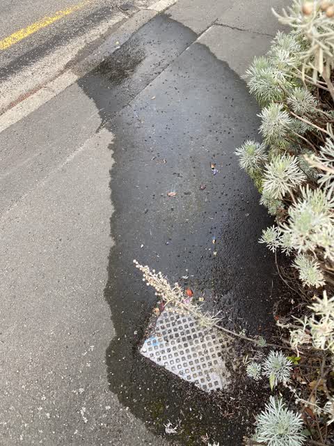 Water Leak, a report photo