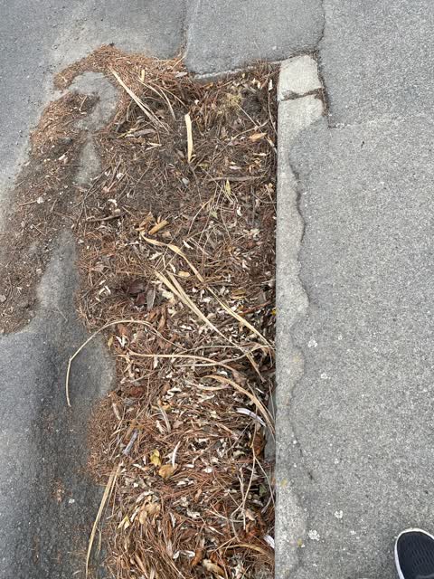 Roading/Streets, a report photo