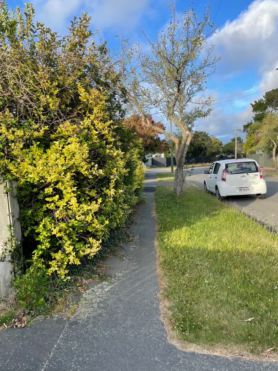 The photograph attached to this roading/streets report