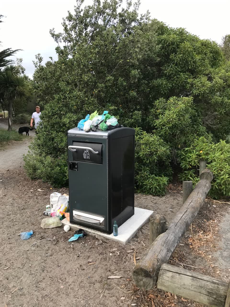 The photograph attached to this rubbish/recycling report