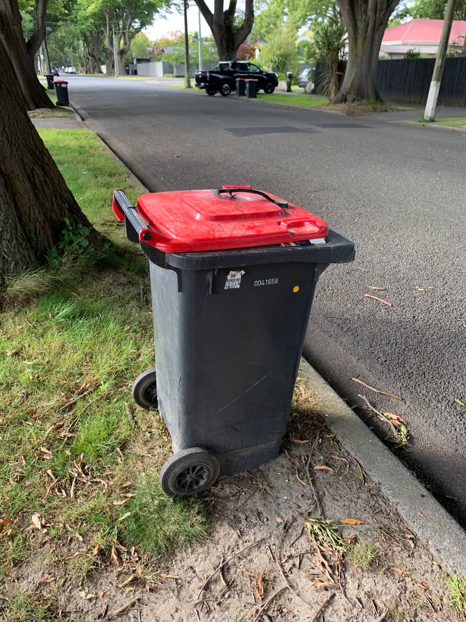 The photograph attached to this rubbish/recycling report