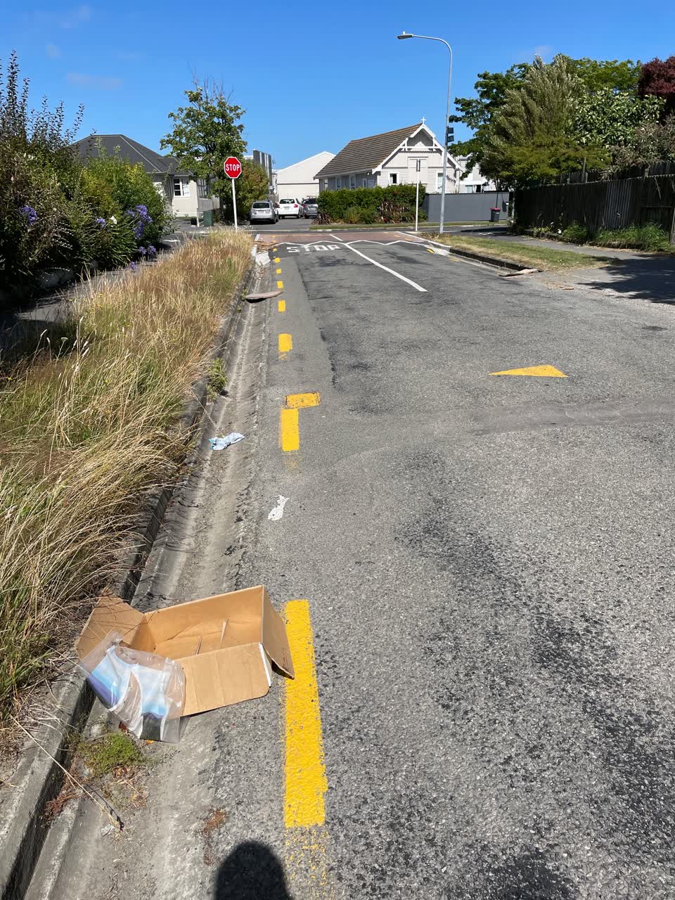 The photograph attached to this rubbish/recycling report