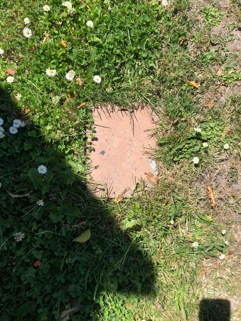 The photograph attached to this water supply report