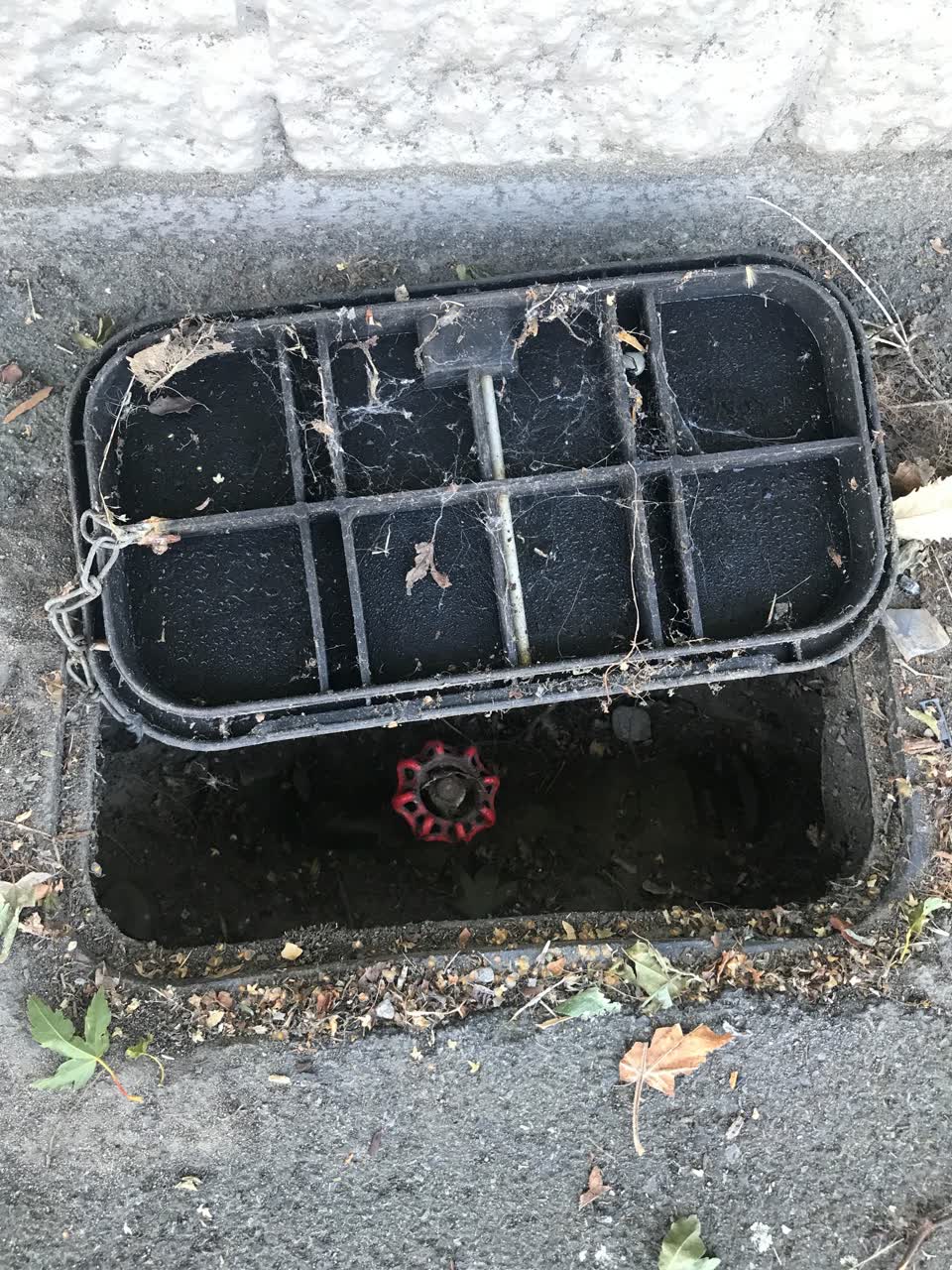 The photograph attached to this water supply report