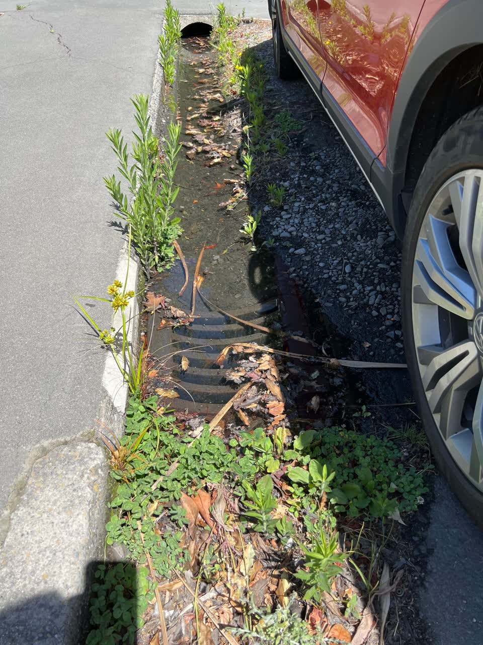 The photograph attached to this flooding report