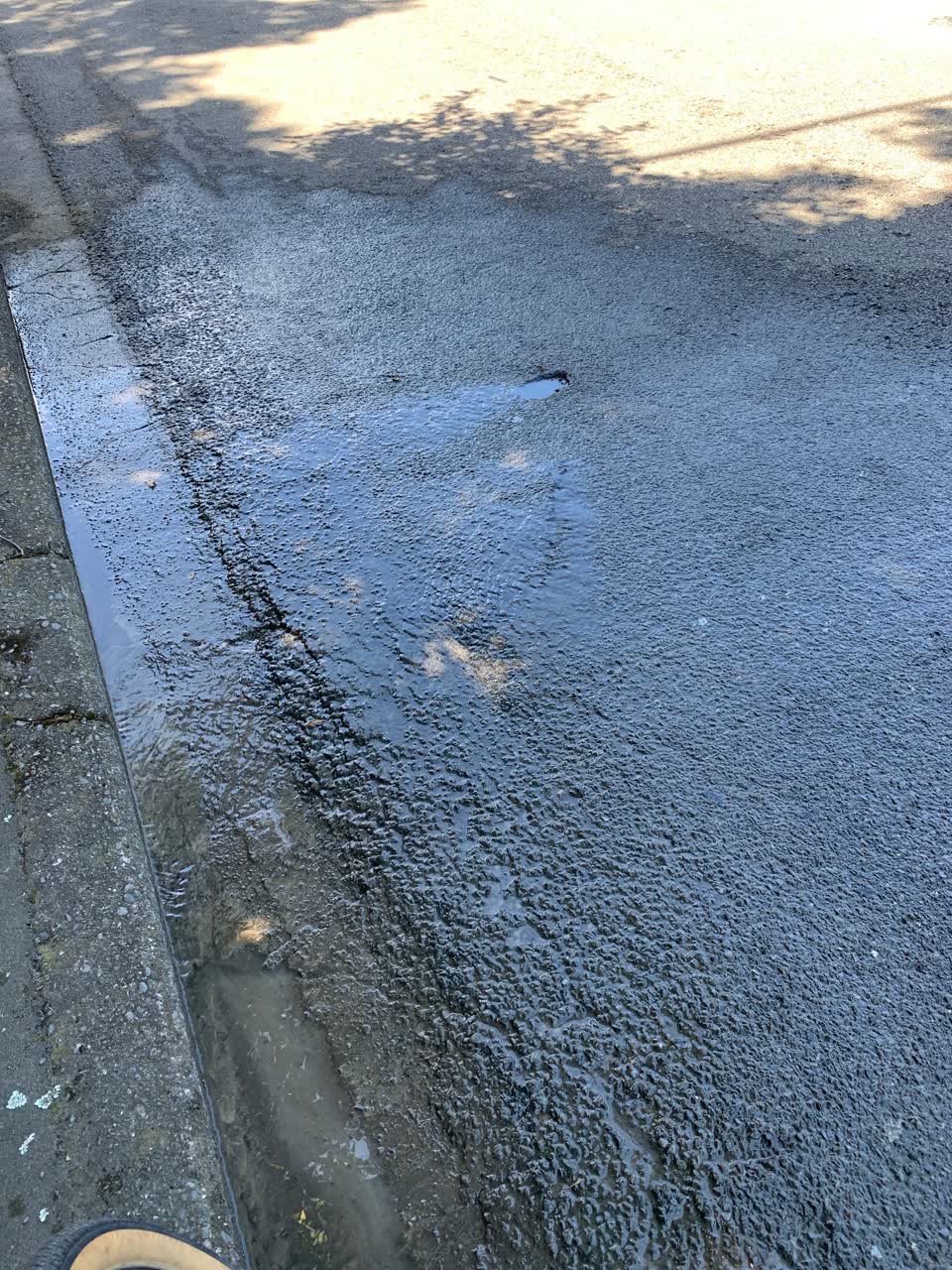 The photograph attached to this roading/streets report