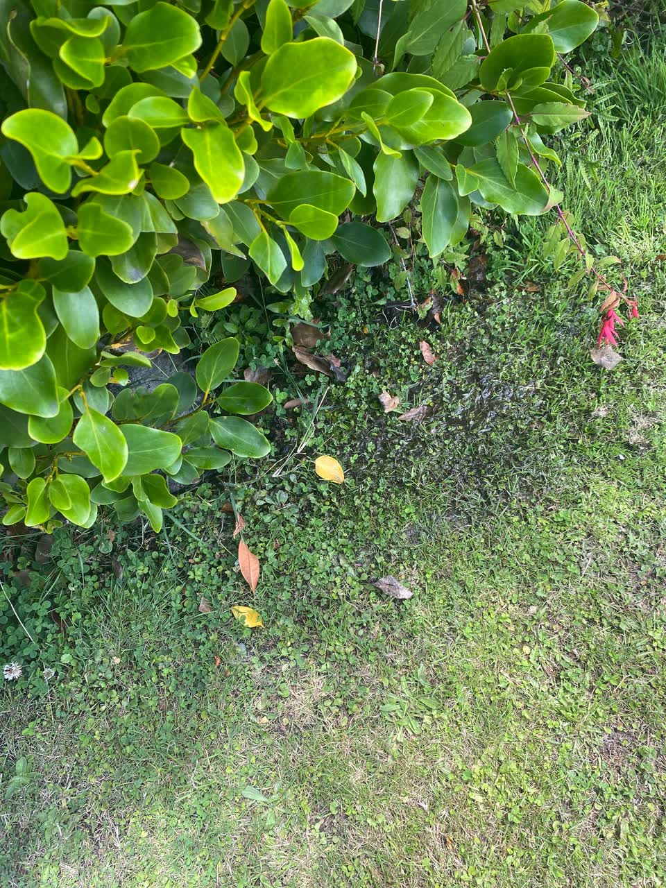 The photograph attached to this water supply report