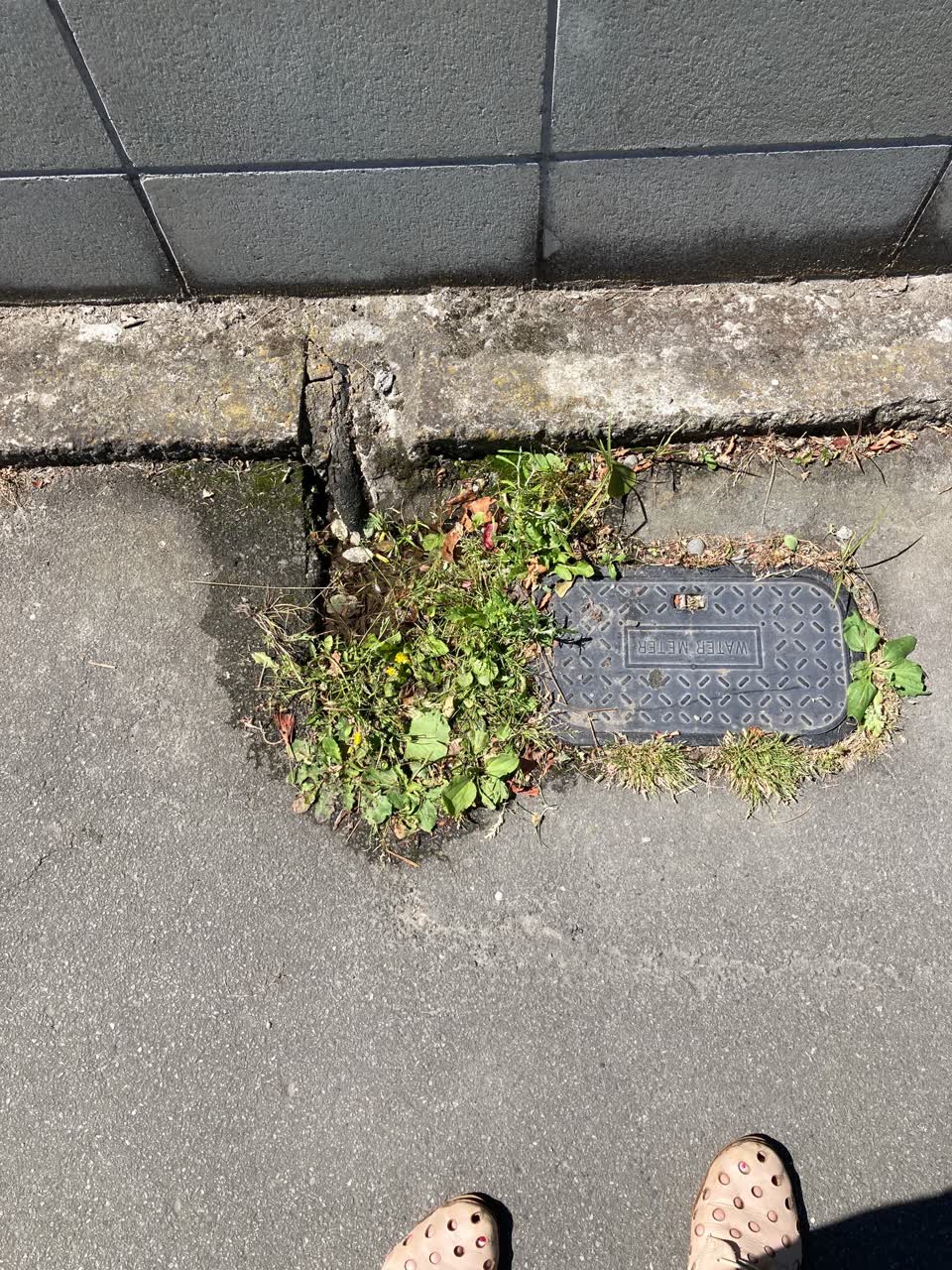 The photograph attached to this water leak report