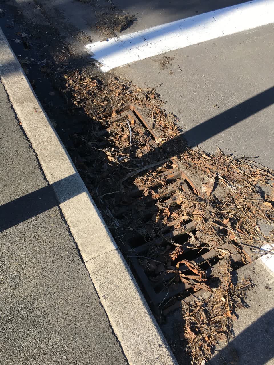 The photograph attached to this wastewater/stormwater report