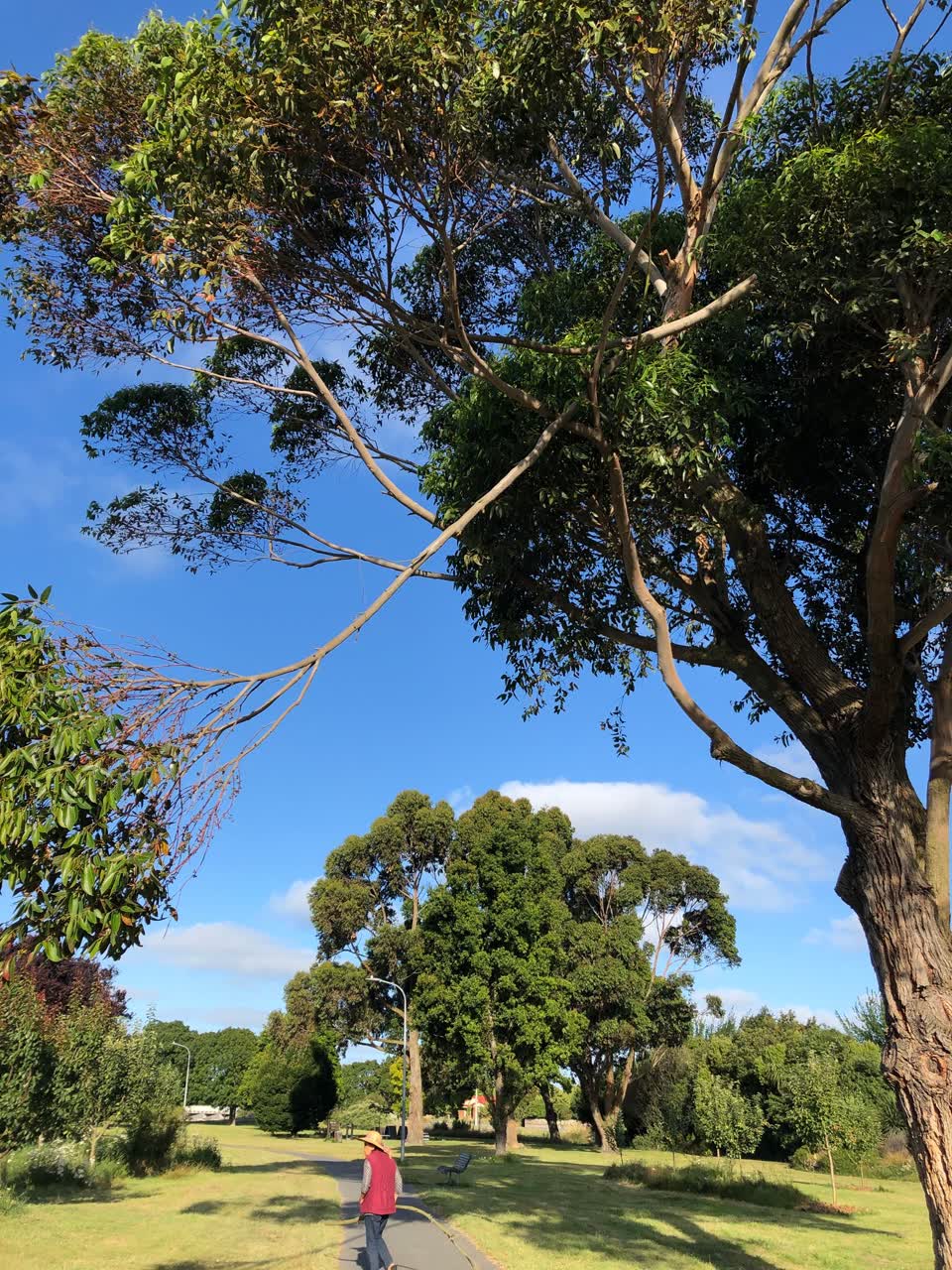 The photograph attached to this parks report