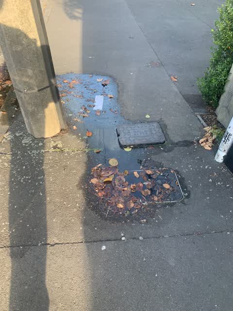 Water Leak, a report photo