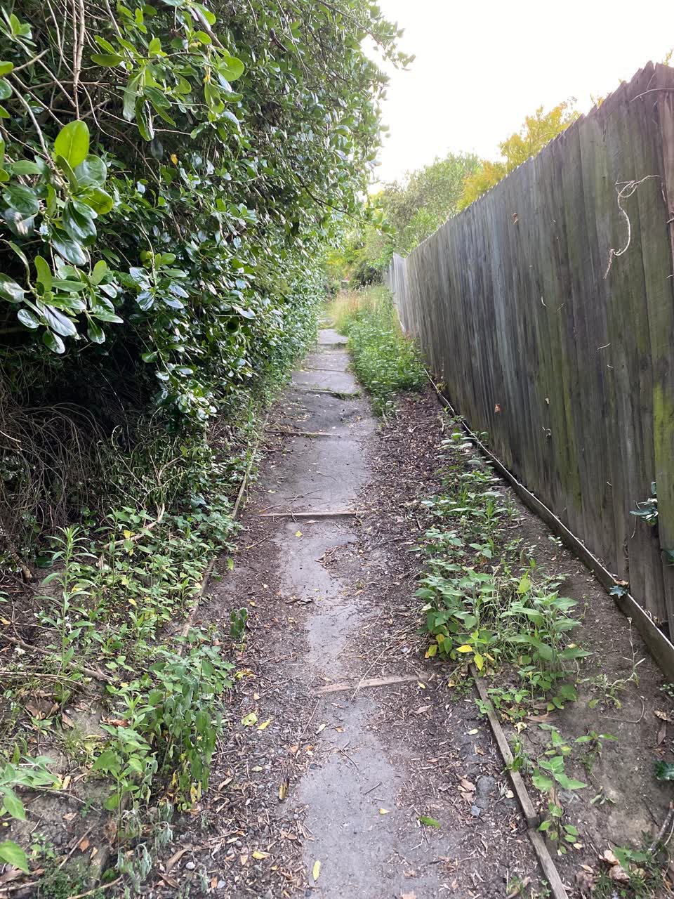 The photograph attached to this parks report
