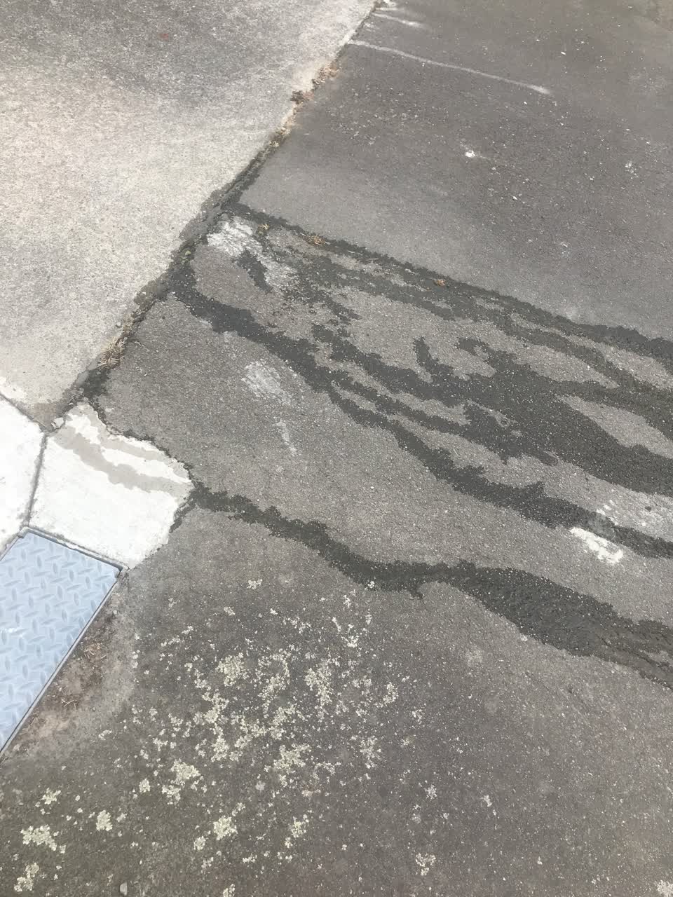 The photograph attached to this water leak report