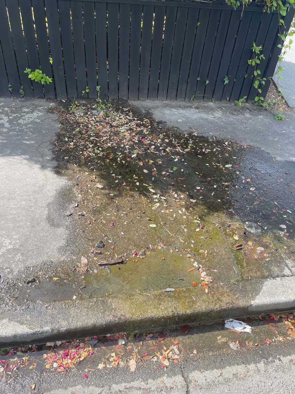 The photograph attached to this water leak report