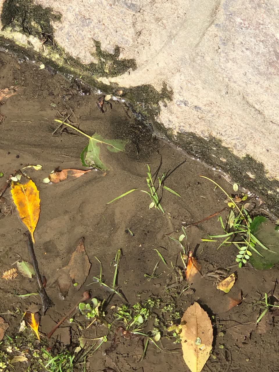 The photograph attached to this water leak report