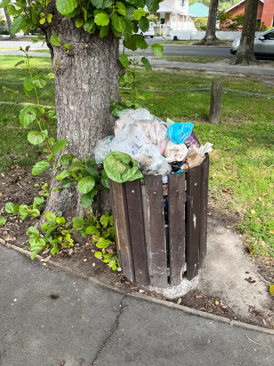 The photograph attached to this parks report