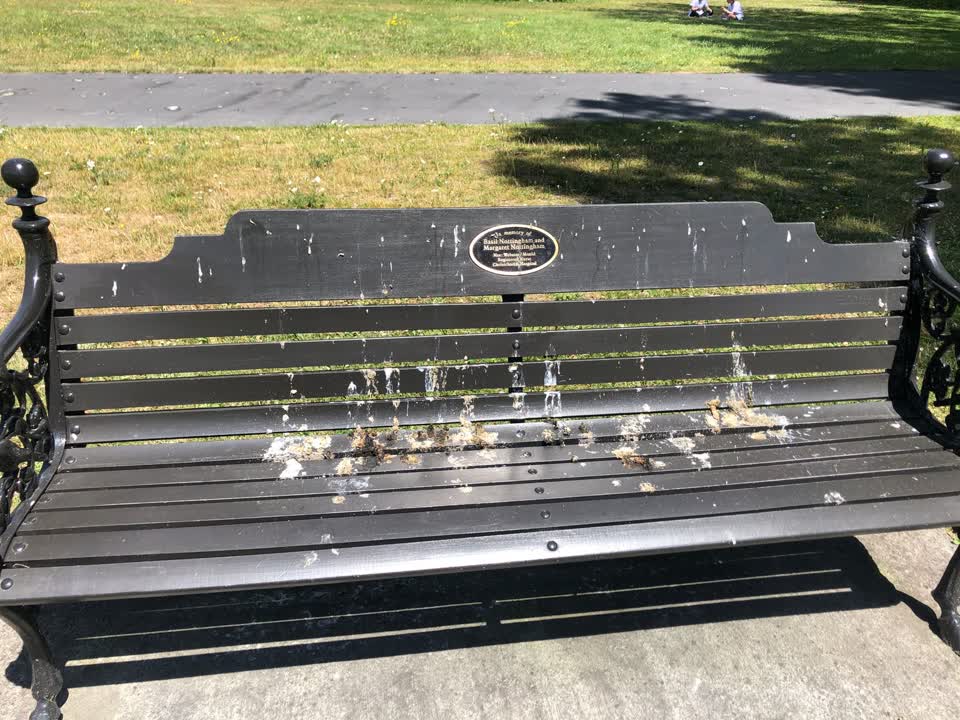 The photograph attached to this parks report