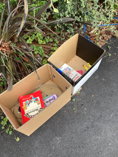 Rubbish/Recycling, a report photo