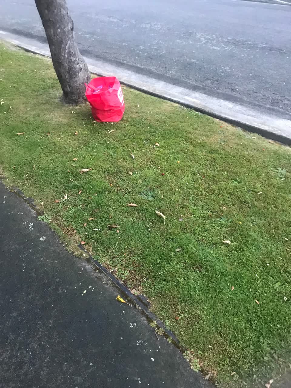 The photograph attached to this rubbish/recycling report