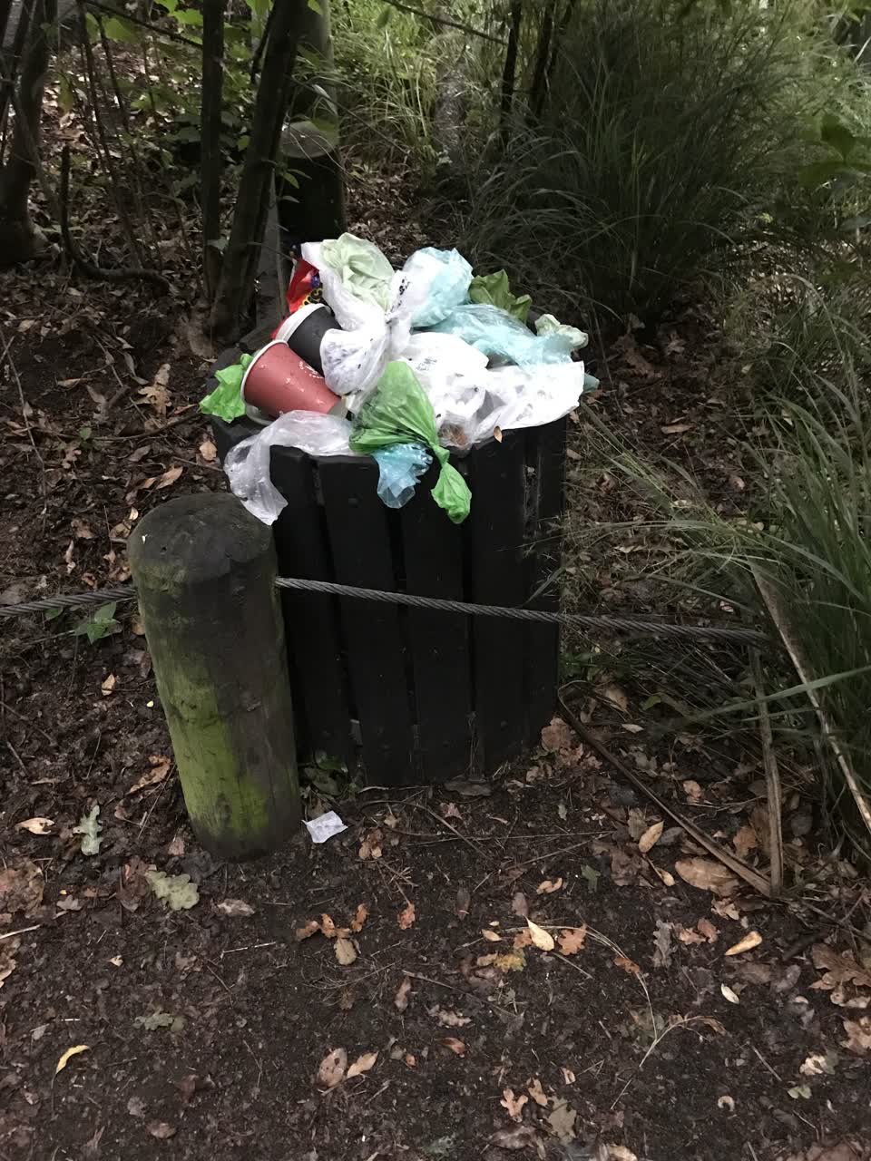 The photograph attached to this rubbish/recycling report