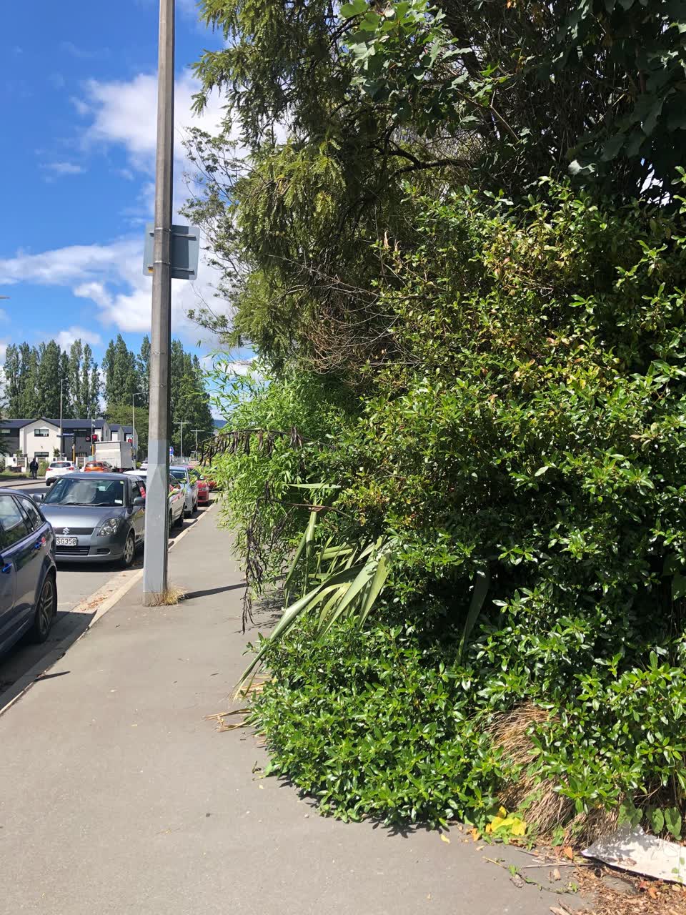 The photograph attached to this roading/streets report