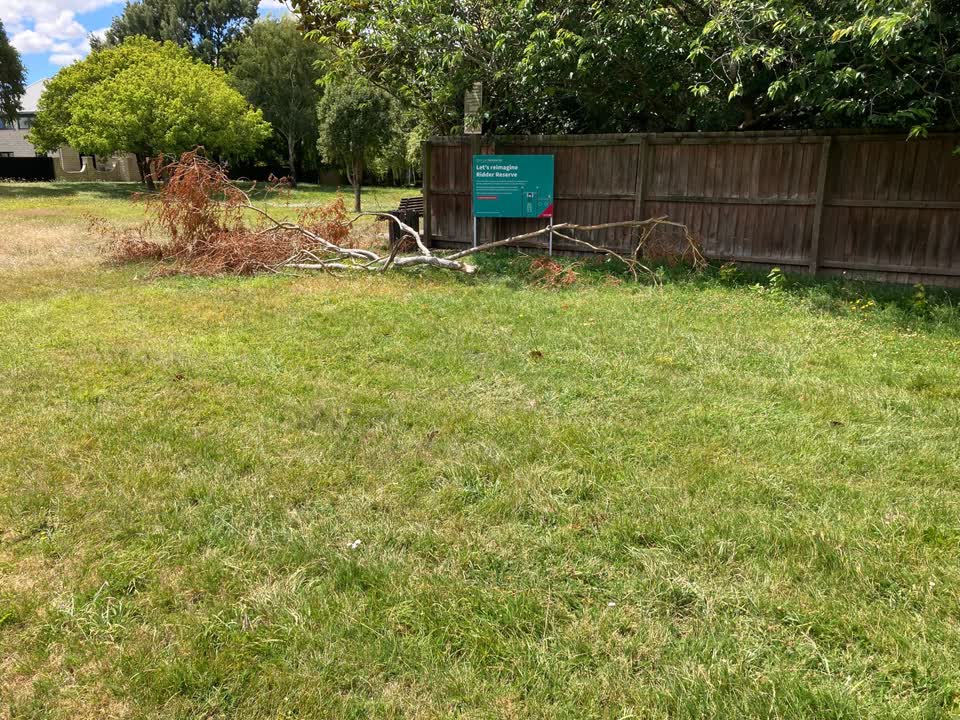 The photograph attached to this parks report