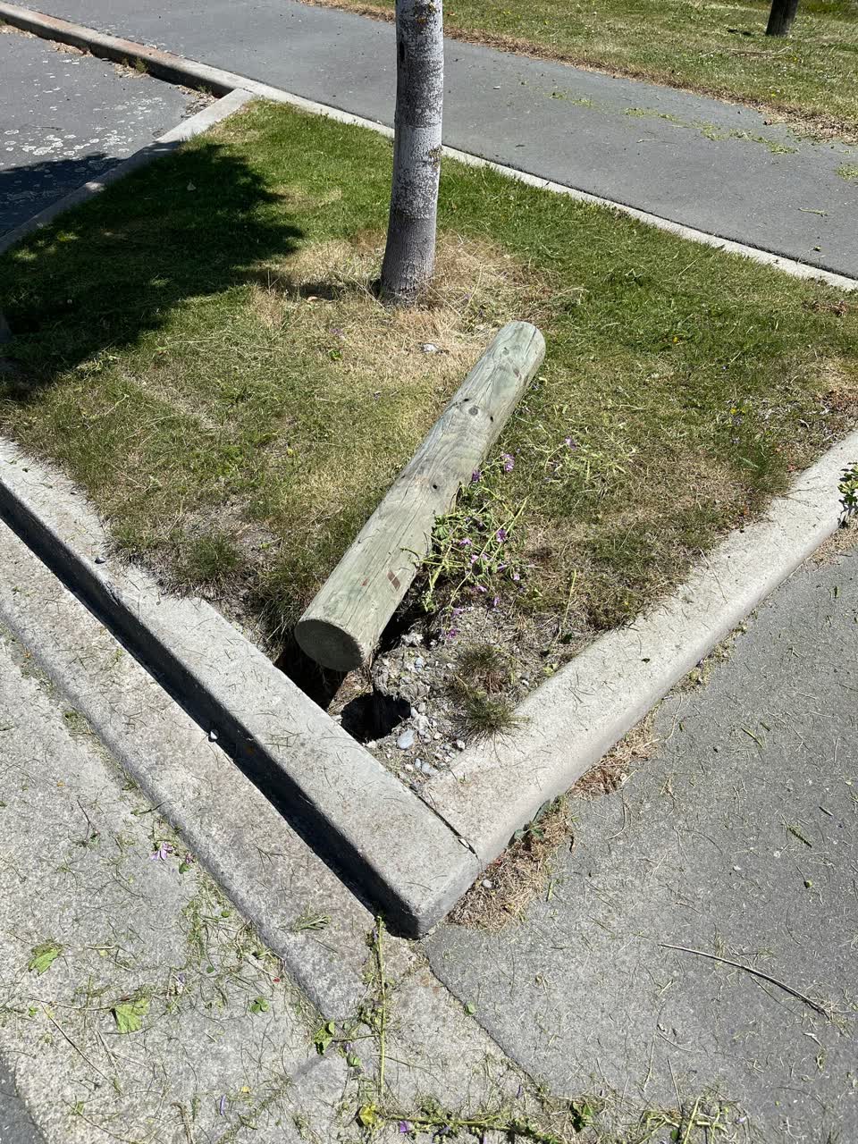 The photograph attached to this roading/streets report