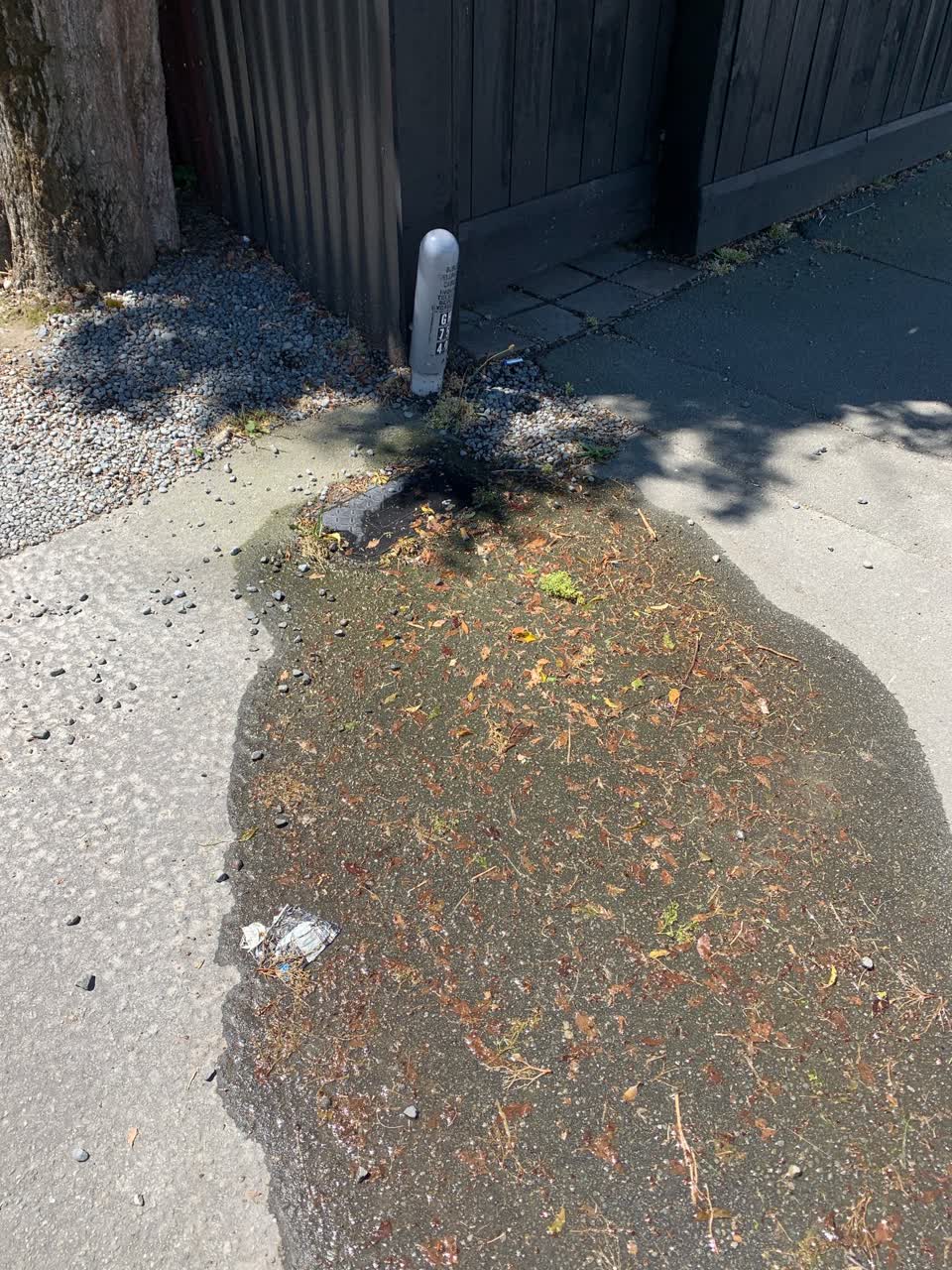 The photograph attached to this water leak report