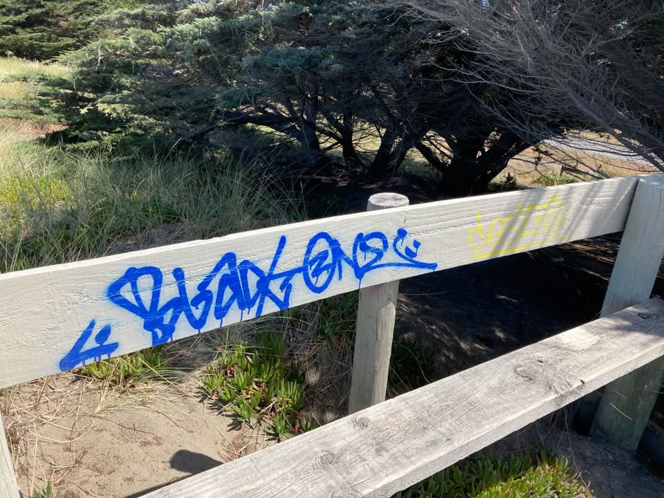 The photograph attached to this graffiti report