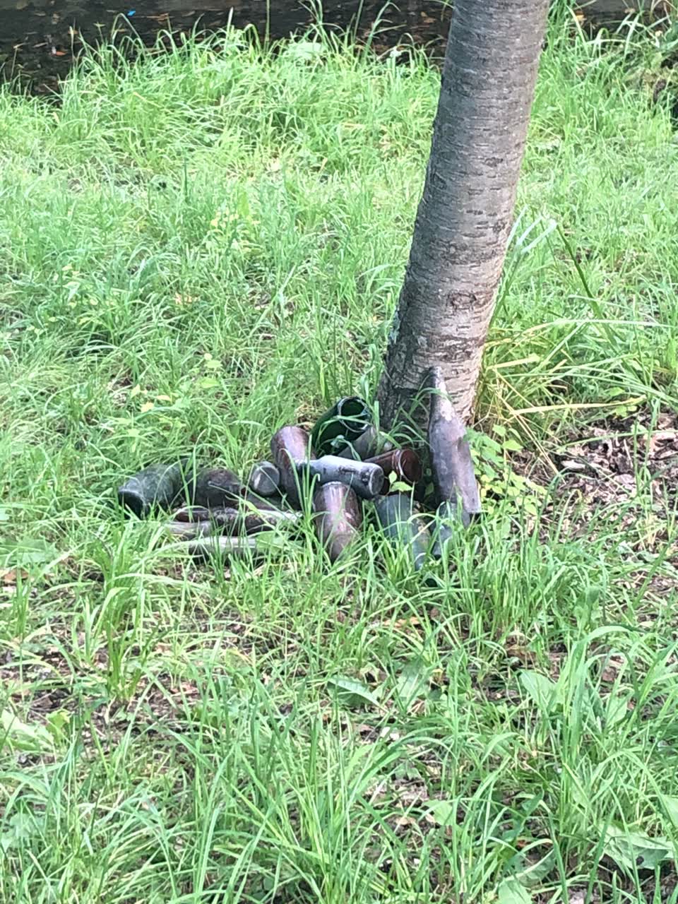 The photograph attached to this parks report