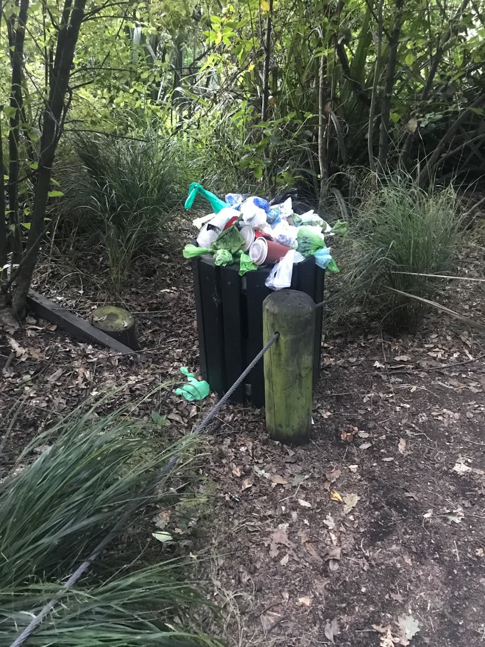 The photograph attached to this rubbish/recycling report