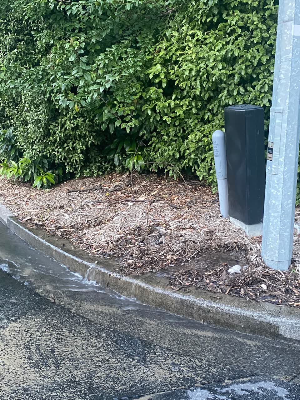 The photograph attached to this water leak report