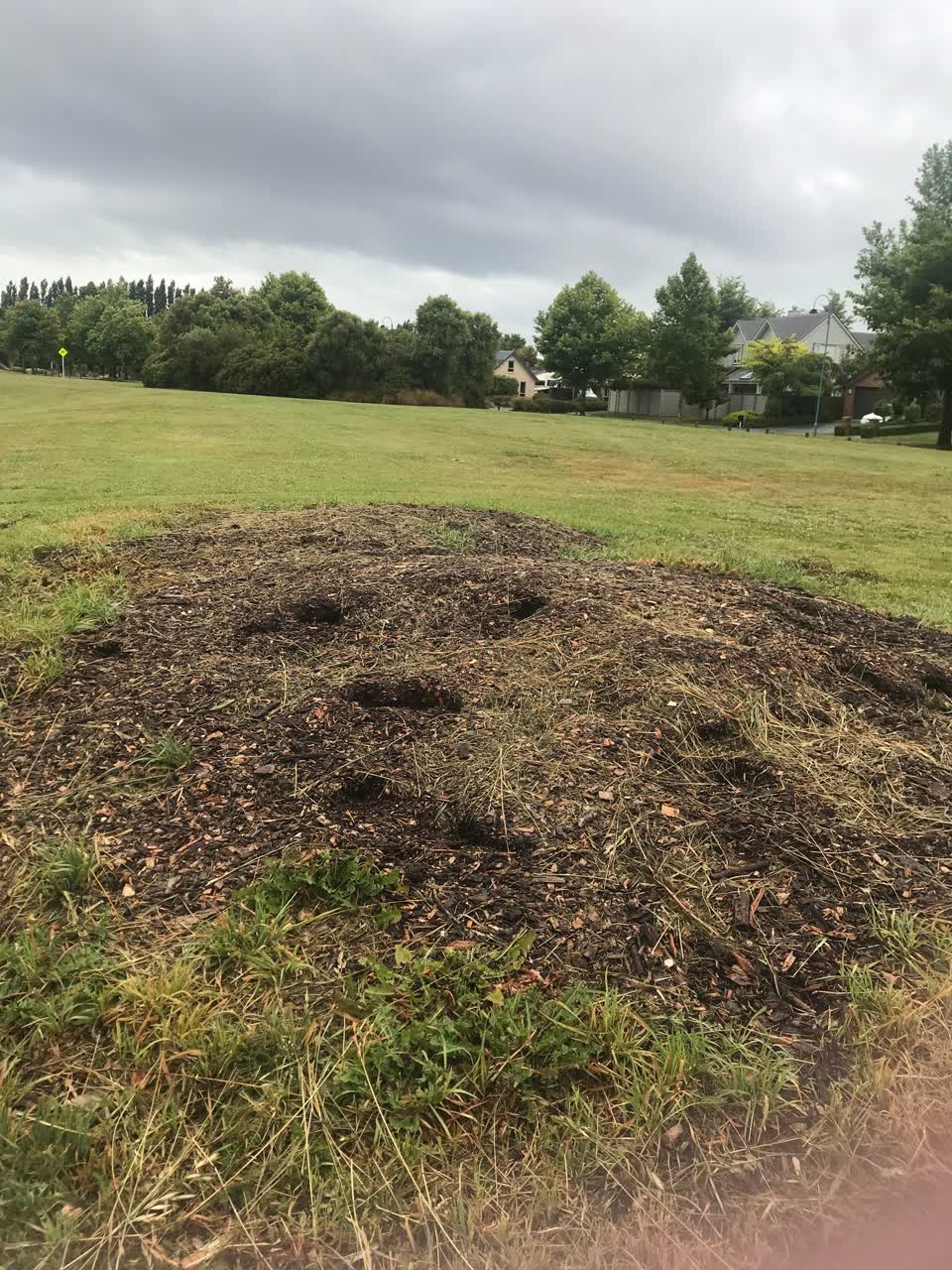 The photograph attached to this parks report