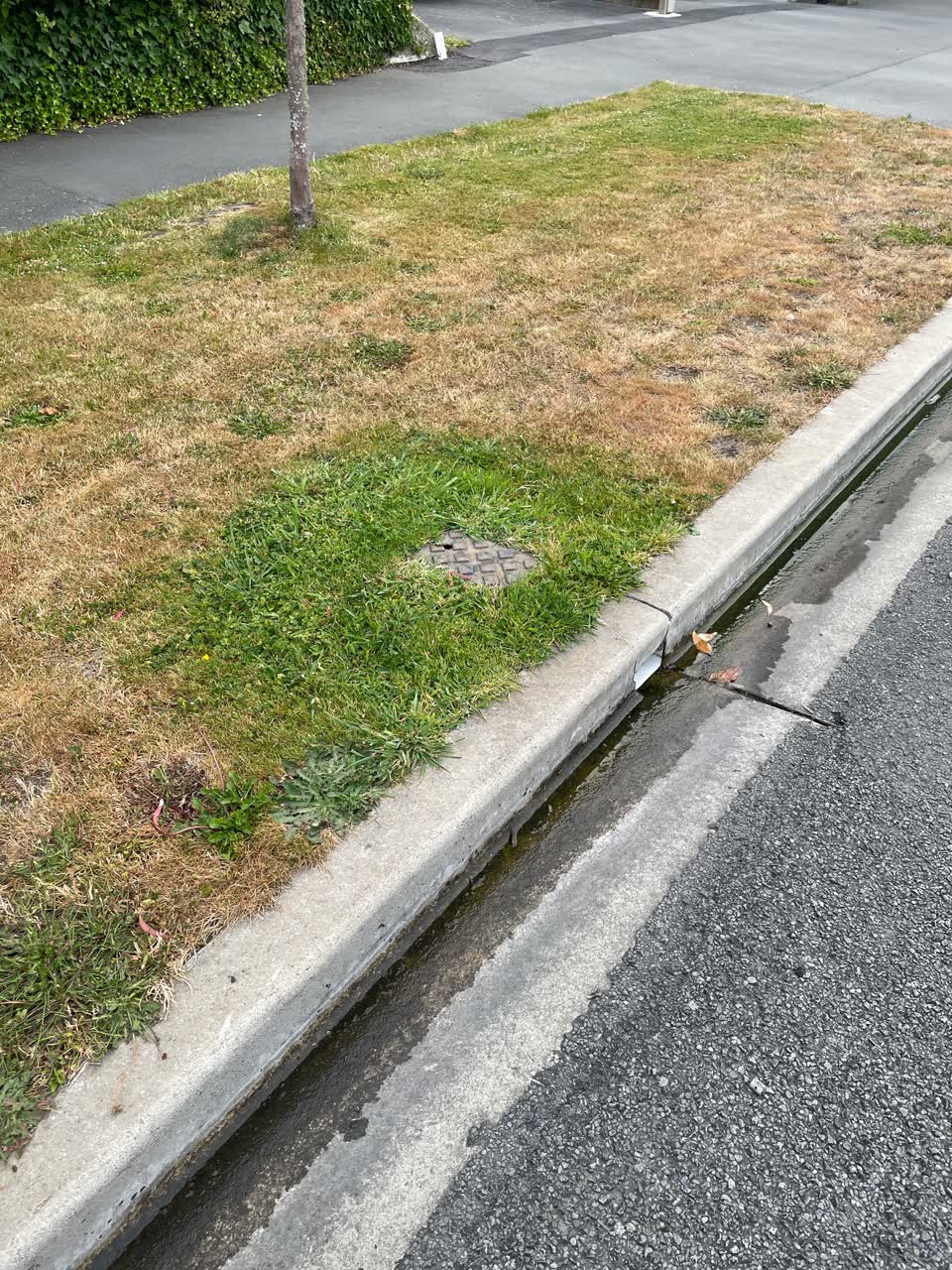 The photograph attached to this water leak report