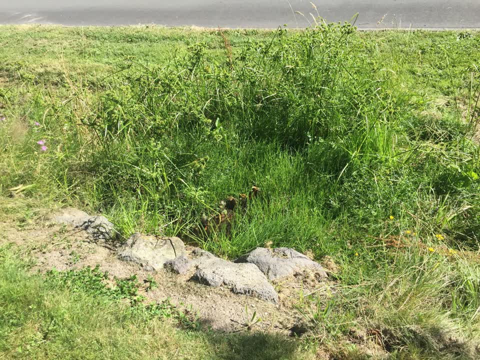 The photograph attached to this wastewater/stormwater report